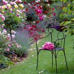 Ruže v záhrade, kovová záhradná stolička