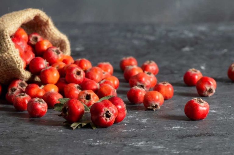 Hloh: Vynikajúci liek na srdce z našej prírody