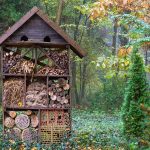 Domček pre hmyz v záhrade