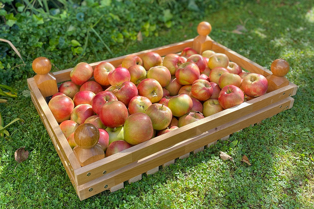 Debnička na ovocie plná jabĺk