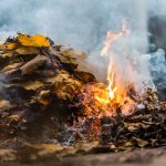 Pálenie lístia v záhrade