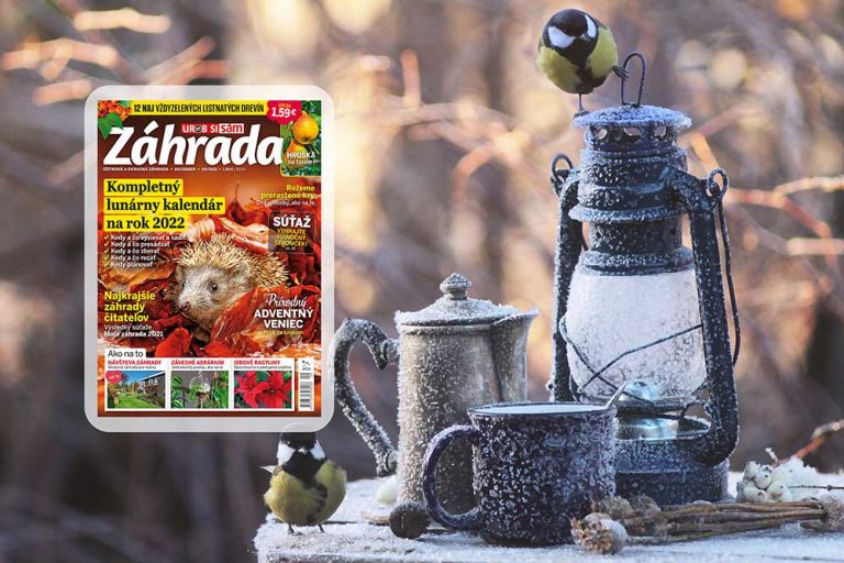 Decembrové číslo časopisu Záhrada je už v predaji!