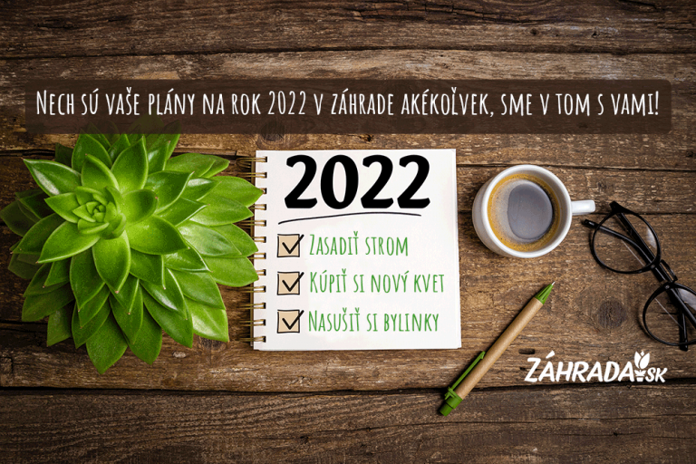 Prajeme úspešný rok 2022!