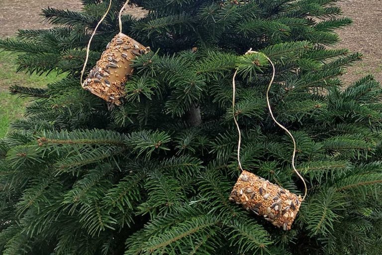 Vytvorte kŕmidlo pre vtáctvo z obyčajnej rolky toaletného papiera. Toto je fotopostup ako na to