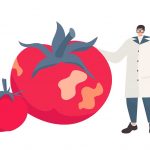 ToBRFV - nový topomavírus na rajčiakoch