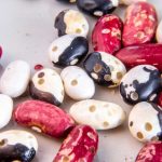 Fazuľa znehodnotené zrniarkou