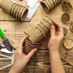 Príprava na výsev semienok, papierové tégliky, semienka