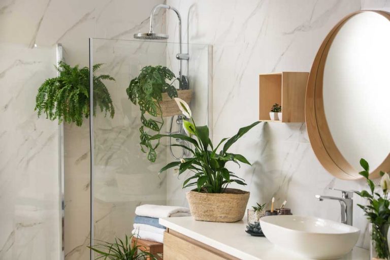 10 izbových rastlín, ktoré milujú kúpeľňu