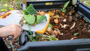 Hádzanie bioodpadu do kompostu