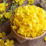 Divozelové kvety v miske