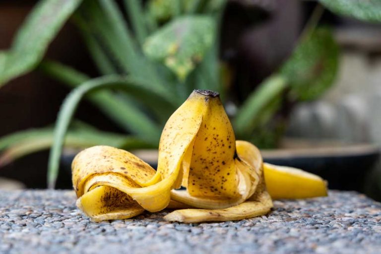 Banánovú šupku nevyhadzujte! Urobte z nej hnojivo na kvety
