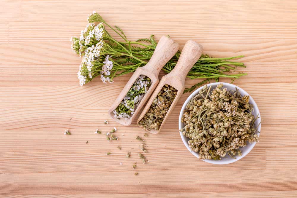 shutterstock 777817036