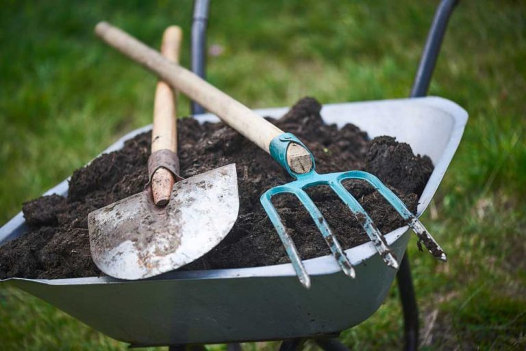 Aký je rozdiel v dávkovaní hnoja a kompostu?