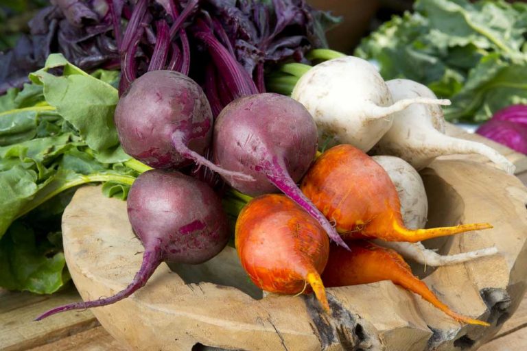 4 netradičné odrody cvikly, ktoré možno nepoznáte