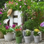 Zátišie s kvetmi, okrasná záhrada, leto