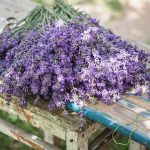 Levanduľa na drevenom stole