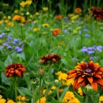 Farebné letničky v záhrade