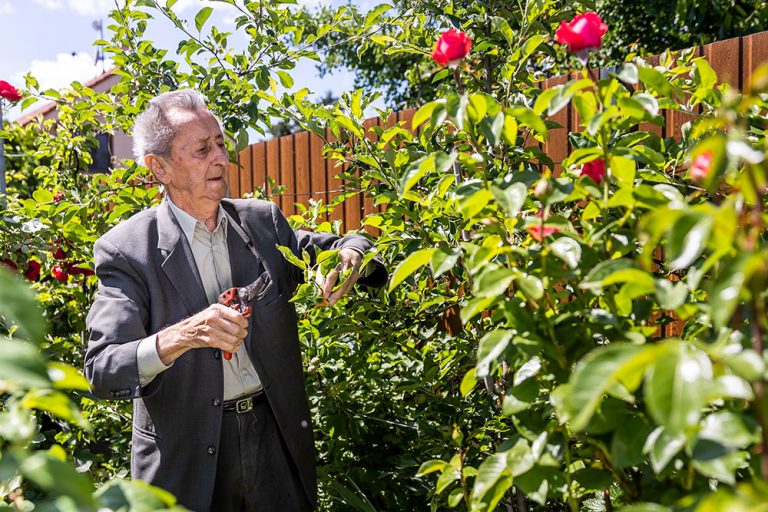 Profesor Hričovský radí: Znamená na pohľad zdravá rastlina zdravú úrodu? Nie je to vždy tak