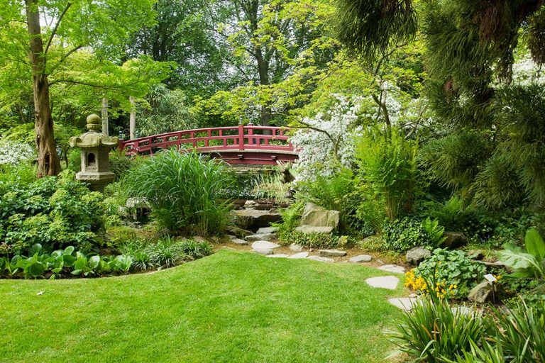 Viete, ktoré rastliny sú typické pre japonskú záhradu? Tieto odporúča Martin Čurda