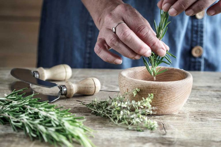 Elixír dlhovekosti, afrodiziakum a výborný dezinfekčný prostriedok: Rozmarín v sebe skrýva oveľa viac