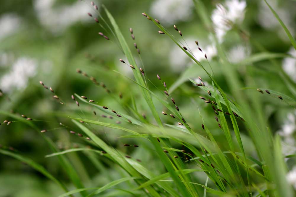 shutterstock 388656529