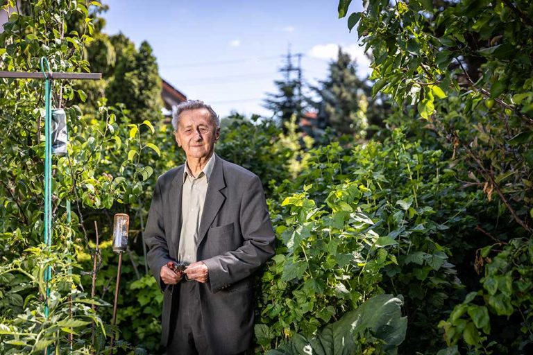 Pán profesor Hričovský radí: Jabĺčka do každej záhrady