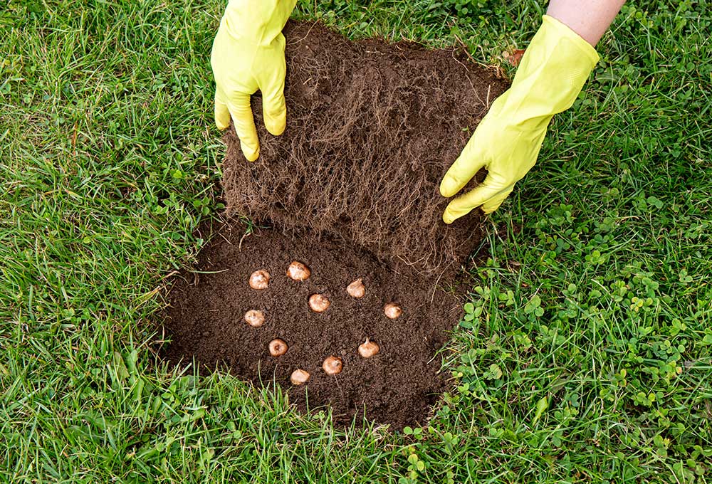 shutterstock 2198921177