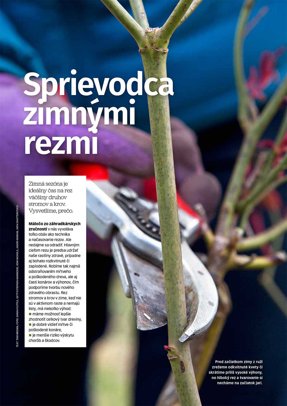 sprievodca zimnymi rezmi 8 2022 1