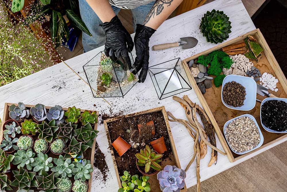 Ako si vyrobiť vlastné rastlinné terárium