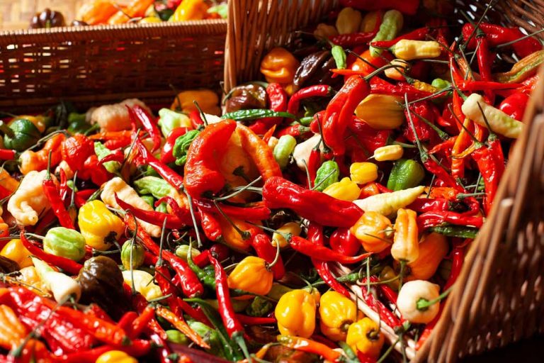 12 odrôd štipľavej papriky: Poznáte ich všetky?