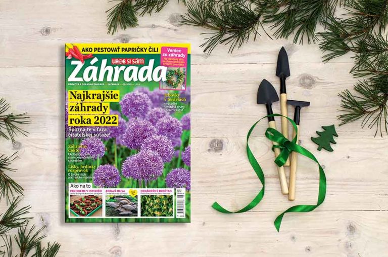 Čo všetko sme pre vás prichystali v decembrovom čísle časopisu Záhrada? Nazrite do neho spolu s nami