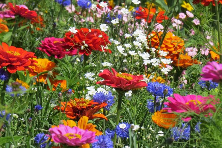 Kým sa jar opýta, zoznámte sa s novinkami SEMO