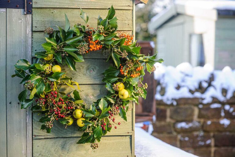 Sviatky klopú na dvere: Vyrobte si ekologický vianočný veniec, ktorý poslúži ako dekorácia aj kŕmidlo pre vtáky