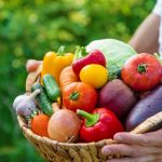 Košík plný farebnej zeleniny