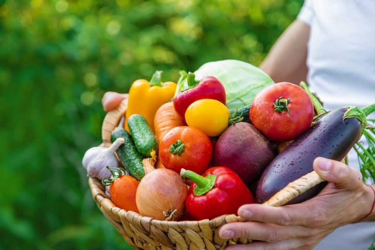 Zdravie ukryté vo farbe zeleniny a ovocia: Zelená dodá silu, fialová zlepší pamäť, červená zlepší pokožku a žltá bojuje proti zápalom