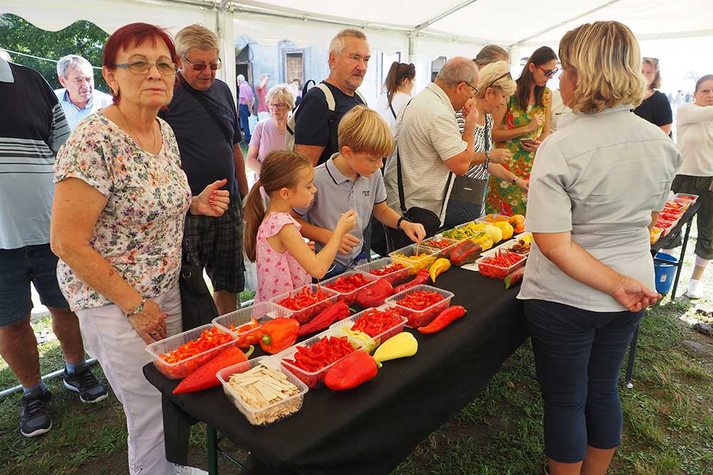 Ochutnávka paprík a paradajok