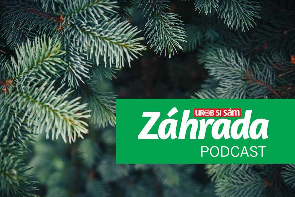 podcast zahrada december