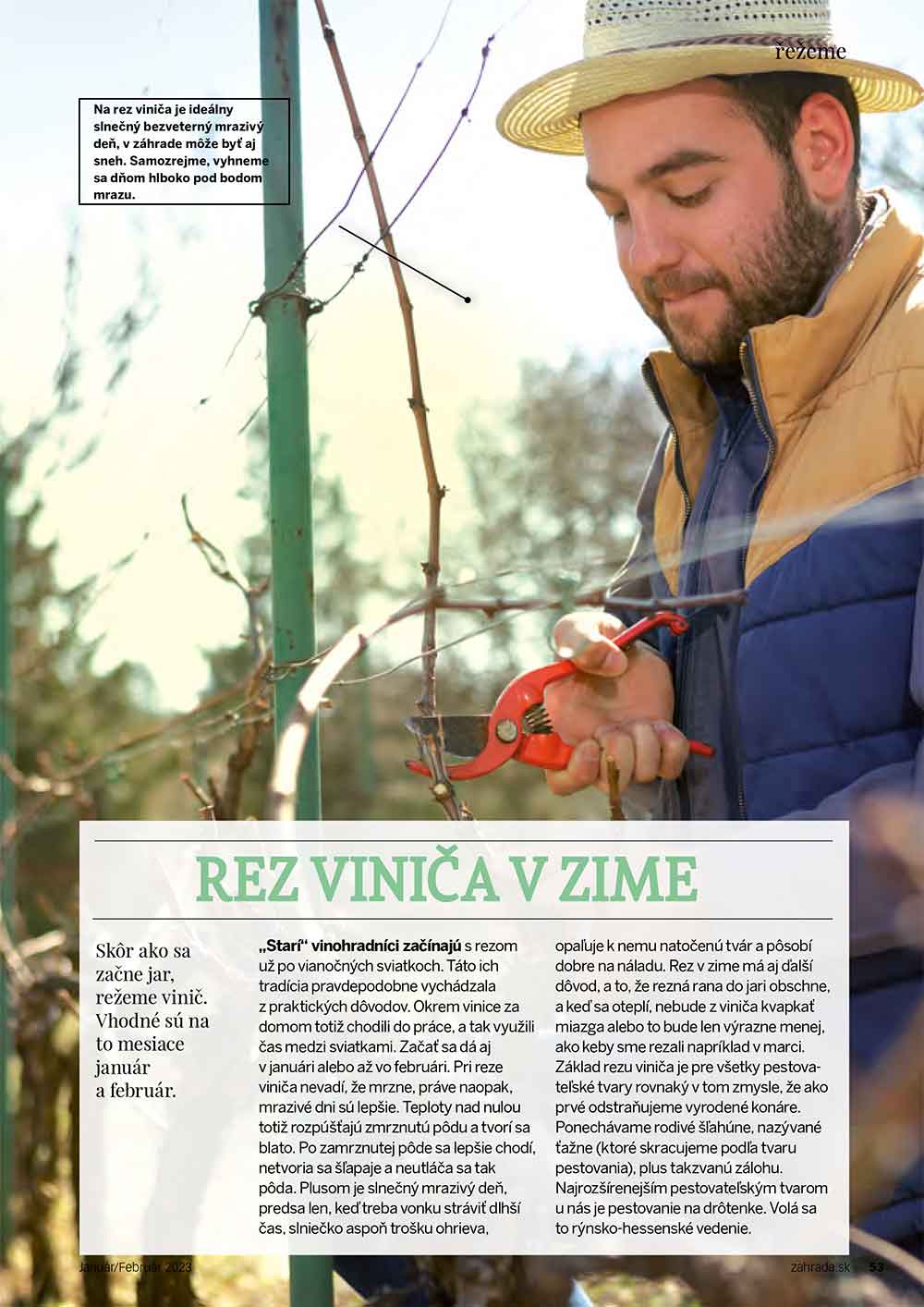 rez vinica 10 2022 1