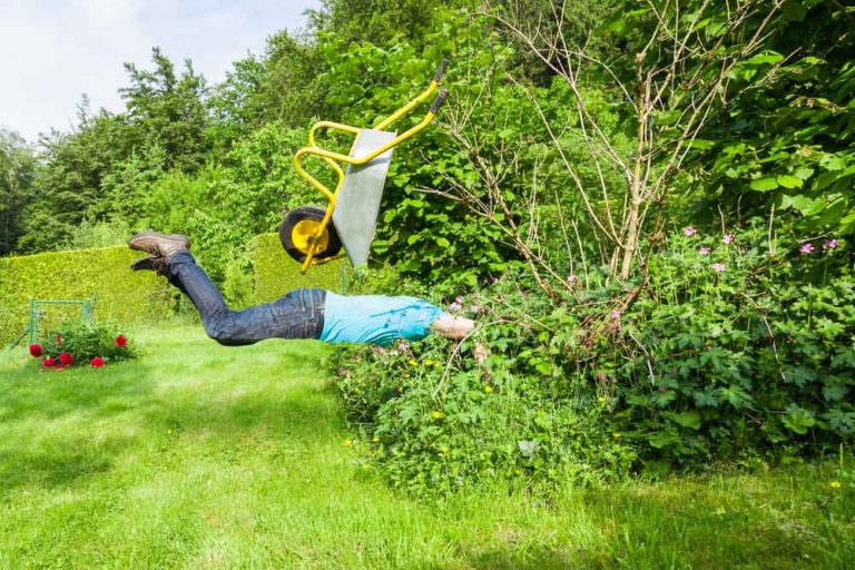 Každý nejako začínal. Prečítajte si veselé príbehy našich záhradkárov, ktoré napísal sám záhradkársky život