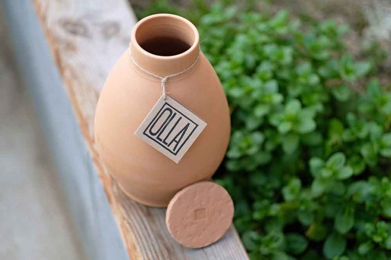 Kofola pomáha aj záhradkárom - rozhodla sa podporiť startup, ktorý šetrí vodu