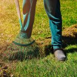 Príprava a čistenie trávnika