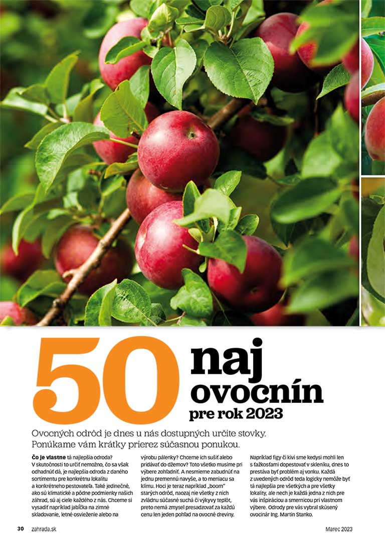 50 naj ovocnín pre rok 2023