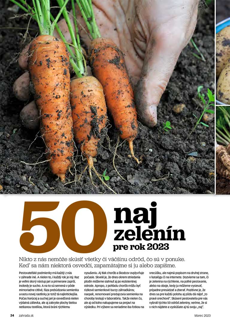 50 naj zelenín pre rok 2023