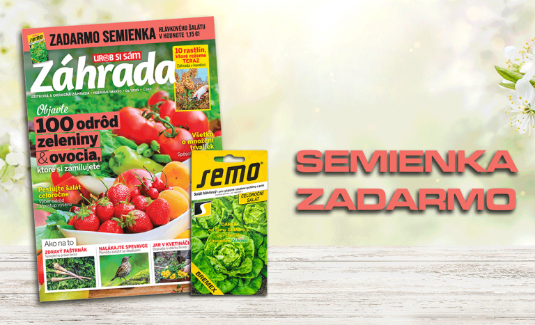 100 odrôd ovocia a zeleniny, fakty o šalátoch a ich pestovaní: Nové číslo časopisu Záhrada je už v predaji!