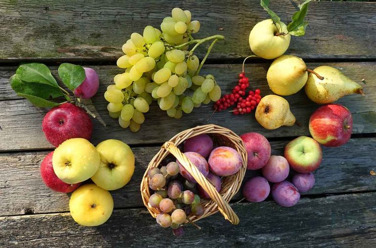 Rôzne druhy ovocia