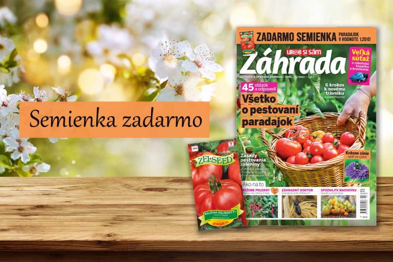 Všetko o pestovaní paradajok, návrat cínií aj aktuálne rezy. Nové číslo časopisu Záhrada so semienkami zadarmo je už v predaji!