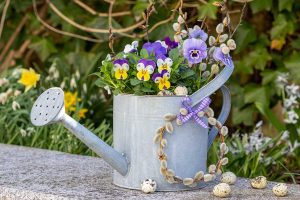 Aprílová záhrada plná sviežosti: Týchto 6 rastlín vám prinesie farby do jarnej kvetinovej výsadby