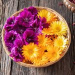 Kvety slezu a nechtíka v miske