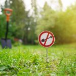 Záhrada bez rýľovania