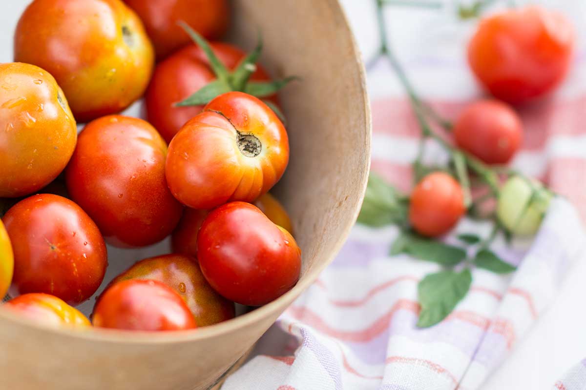 Odrody paradajok vhodné na spracovanie, sušenie a na kečup